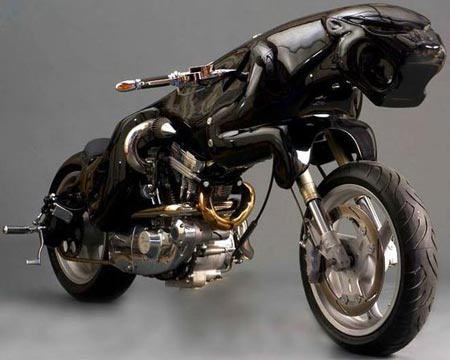 cat-bike-1