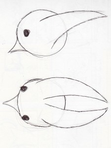 Bird Concept