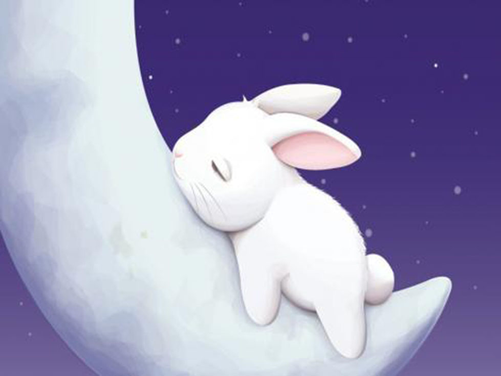 Cute Bunny Sleeping on Tumblr