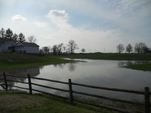 Flooded yard near Portage River in Woodville, Ohio