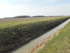 A drainage ditch runs along farmlands, these are necessary to prevent flooding in the area.