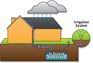 Depiction of Rain Water Harvesting