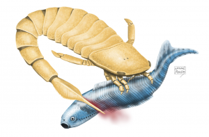 extinct sea scorpion feeding on a fish