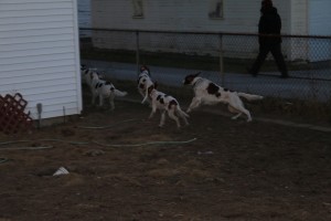 IMG_0167